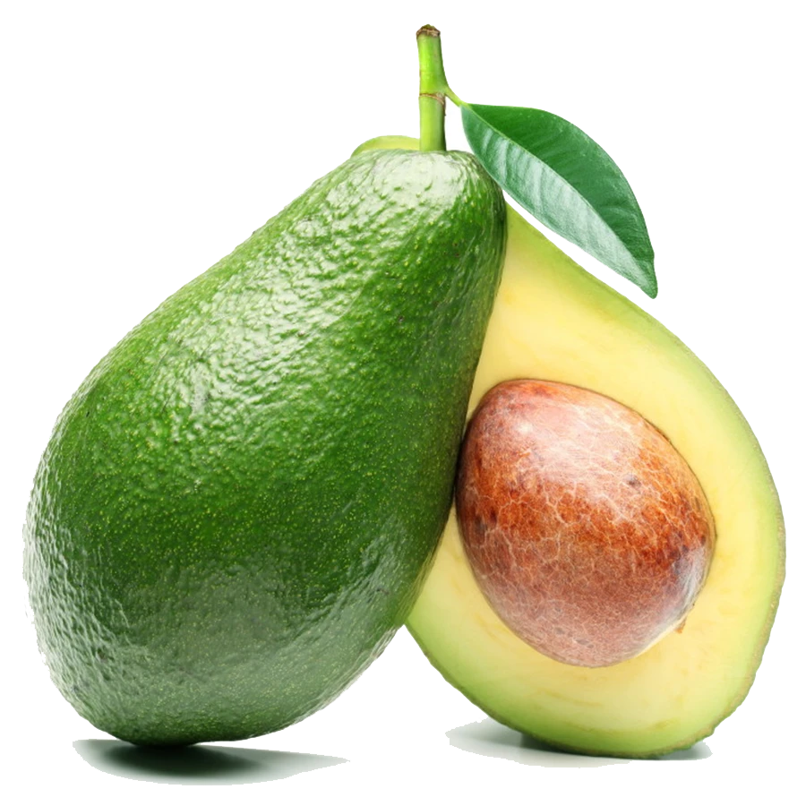 AVOCADO