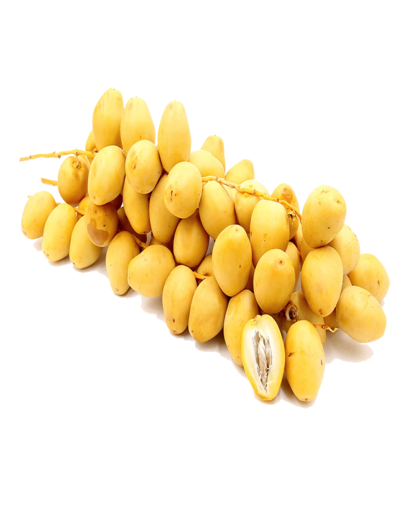 بلح برحي أردني